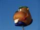 image_#1